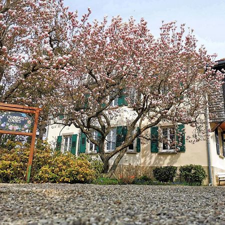 Bed and Breakfast La Tirelire Cosswiller Экстерьер фото
