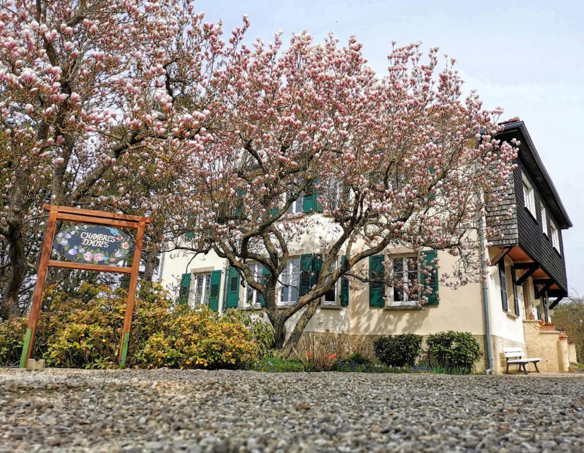 Bed and Breakfast La Tirelire Cosswiller Экстерьер фото